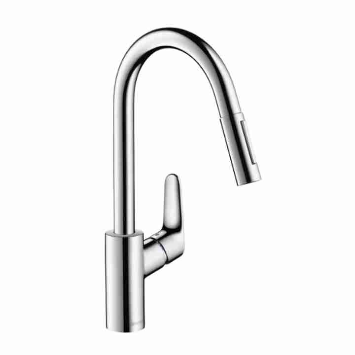 Кухонний змішувач HANSGROHE FOCUS 31815000 - 1 фото